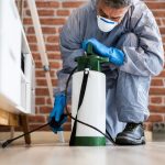 Exploring Eco-Friendly Pest Control Options for Businesses